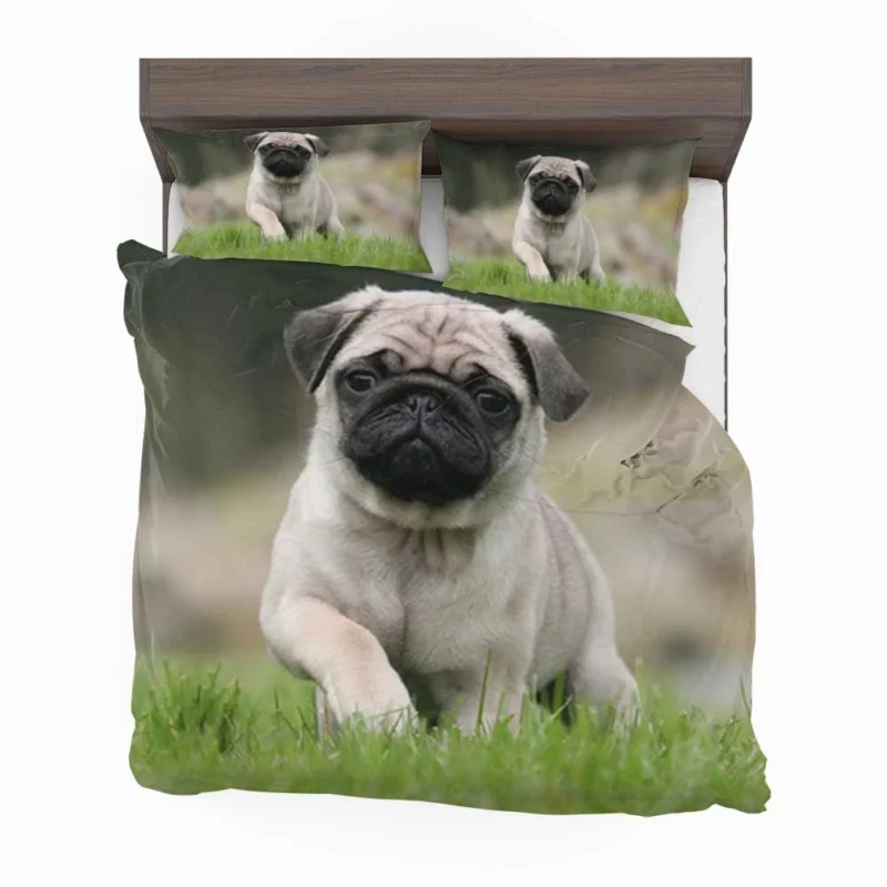 Friendly Pug Elegance: Fourfold Pug Quartet Bedding Set 1