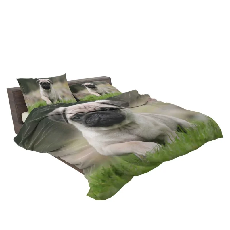 Friendly Pug Elegance: Fourfold Pug Quartet Bedding Set 2