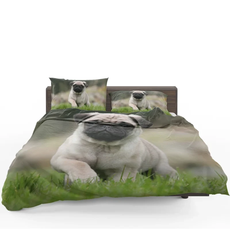 Friendly Pug Elegance: Fourfold Pug Quartet Bedding Set