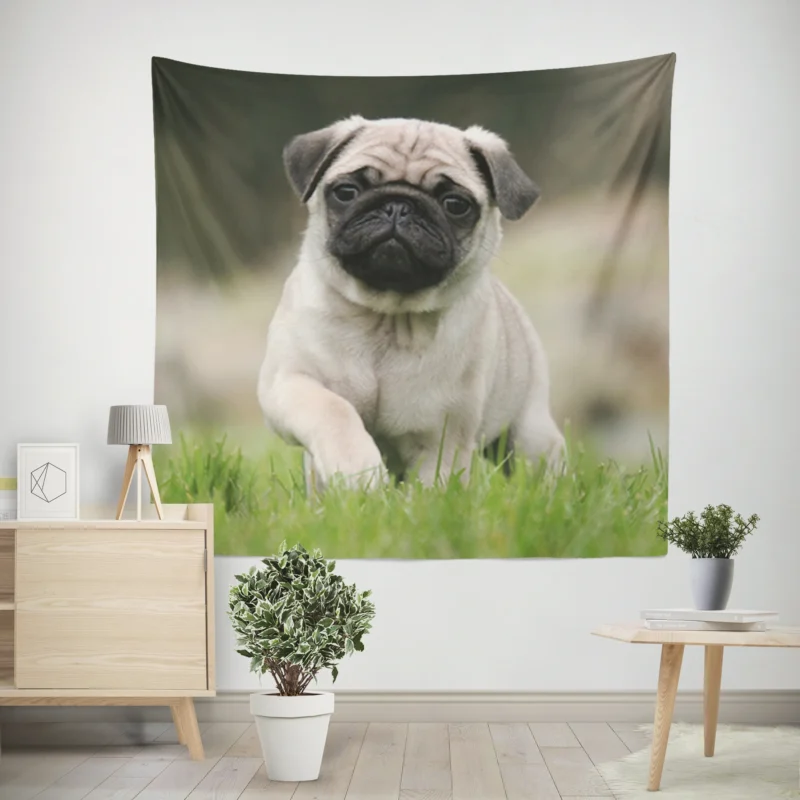 Friendly Pug Elegance  Fourfold Pug Quartet Wall Tapestry