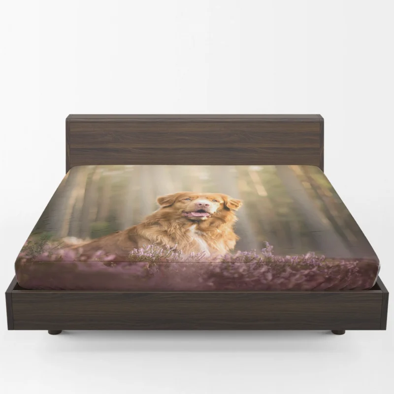 Friendly Quartet: Nova Scotia Duck Tolling Retriever Depth Fitted Sheet 1