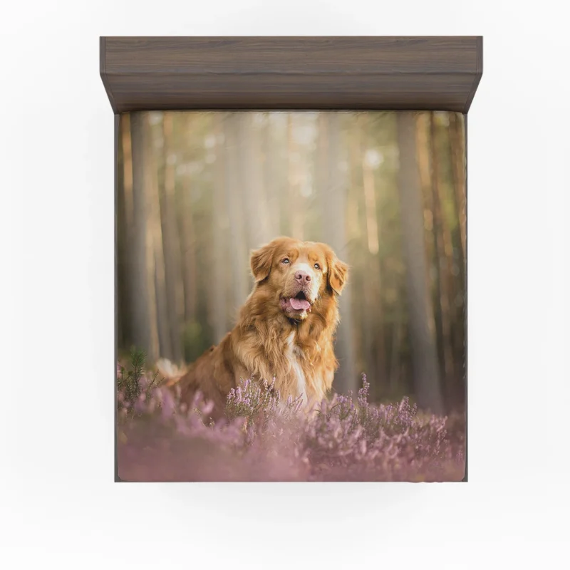 Friendly Quartet: Nova Scotia Duck Tolling Retriever Depth Fitted Sheet