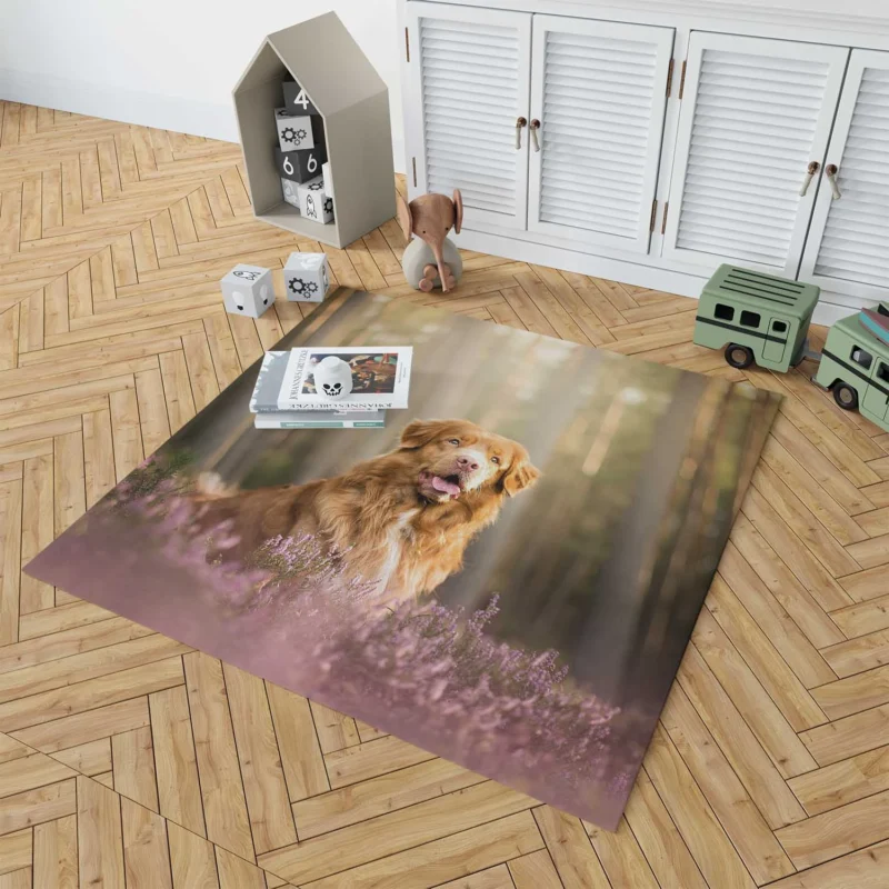 Friendly Quartet: Nova Scotia Duck Tolling Retriever Depth Floor Rug 1