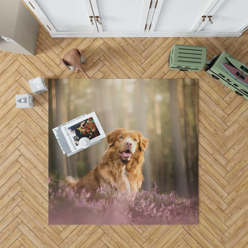 Friendly Quartet: Nova Scotia Duck Tolling Retriever Depth Floor Rug