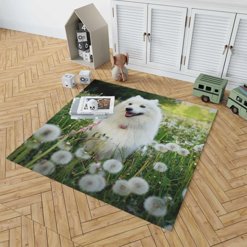 Frolicking in a Dandelion Field: Spitz Quartet Floor Rug 1