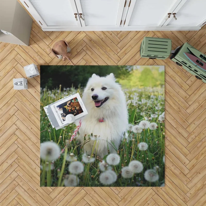 Frolicking in a Dandelion Field: Spitz Quartet Floor Rug