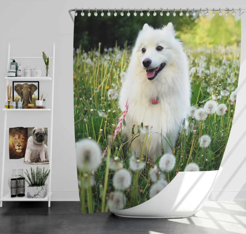 Frolicking in a Dandelion Field: Spitz Quartet Shower Curtain