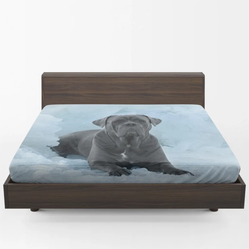 Frozen Majesty: Cane Corso Quartet Fitted Sheet 1