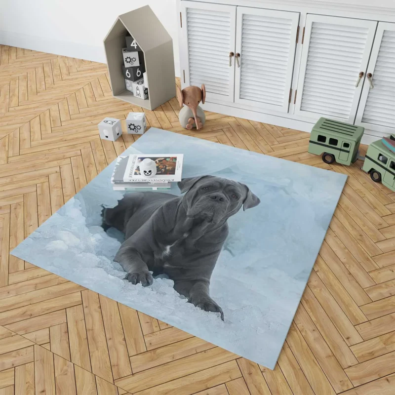 Frozen Majesty: Cane Corso Quartet Floor Rug 1