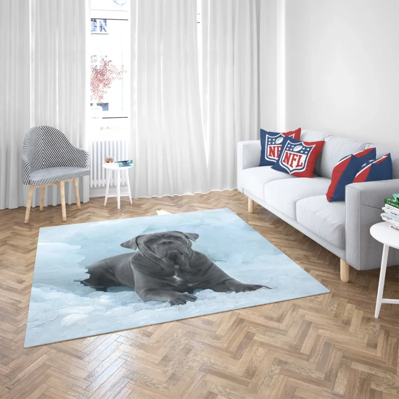 Frozen Majesty: Cane Corso Quartet Floor Rug 2