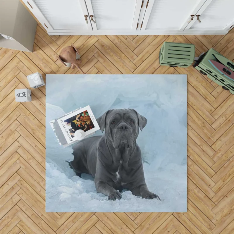 Frozen Majesty: Cane Corso Quartet Floor Rug