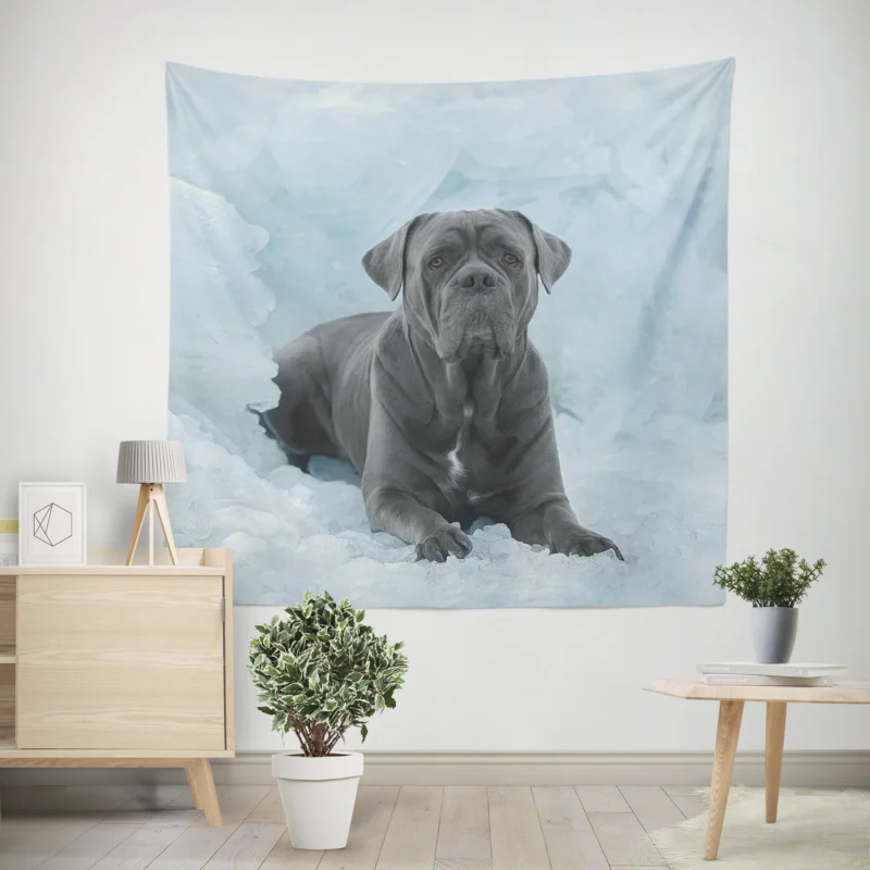 Frozen Majesty  Cane Corso Quartet Wall Tapestry