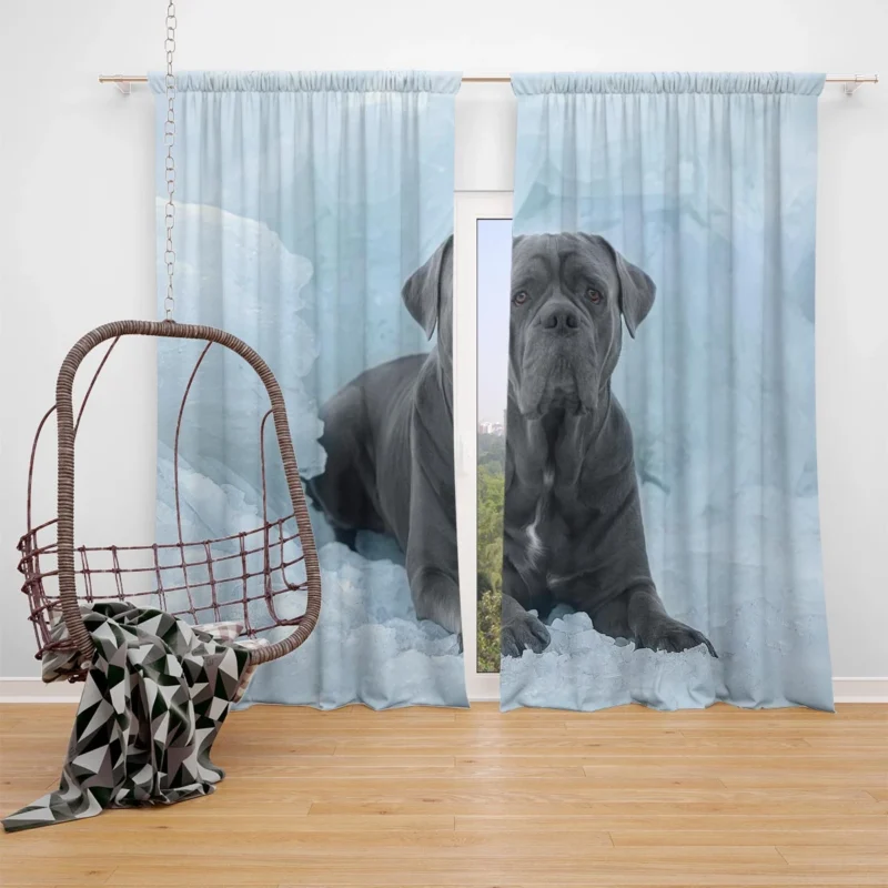 Frozen Majesty: Cane Corso Quartet Window Curtain