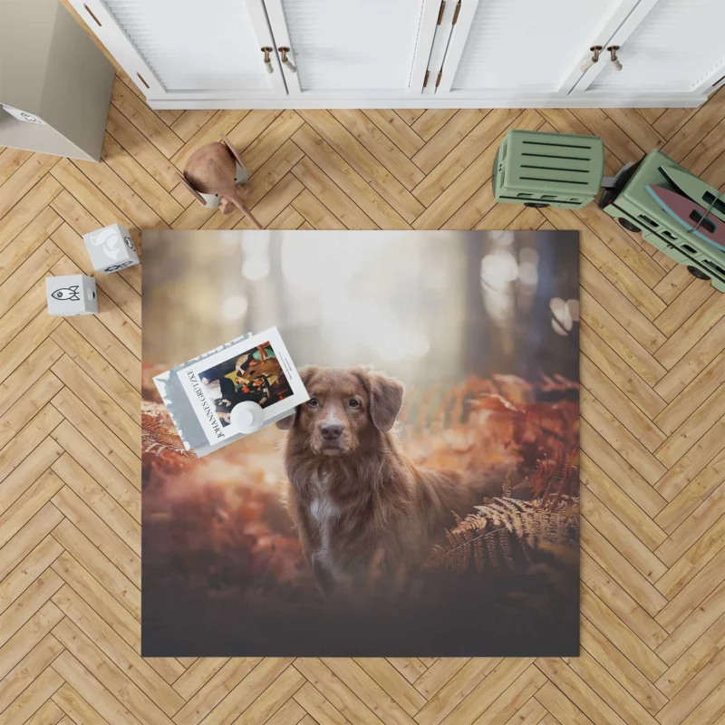 Furry Elegance: Old English Sheepdog Quartet Floor Rug