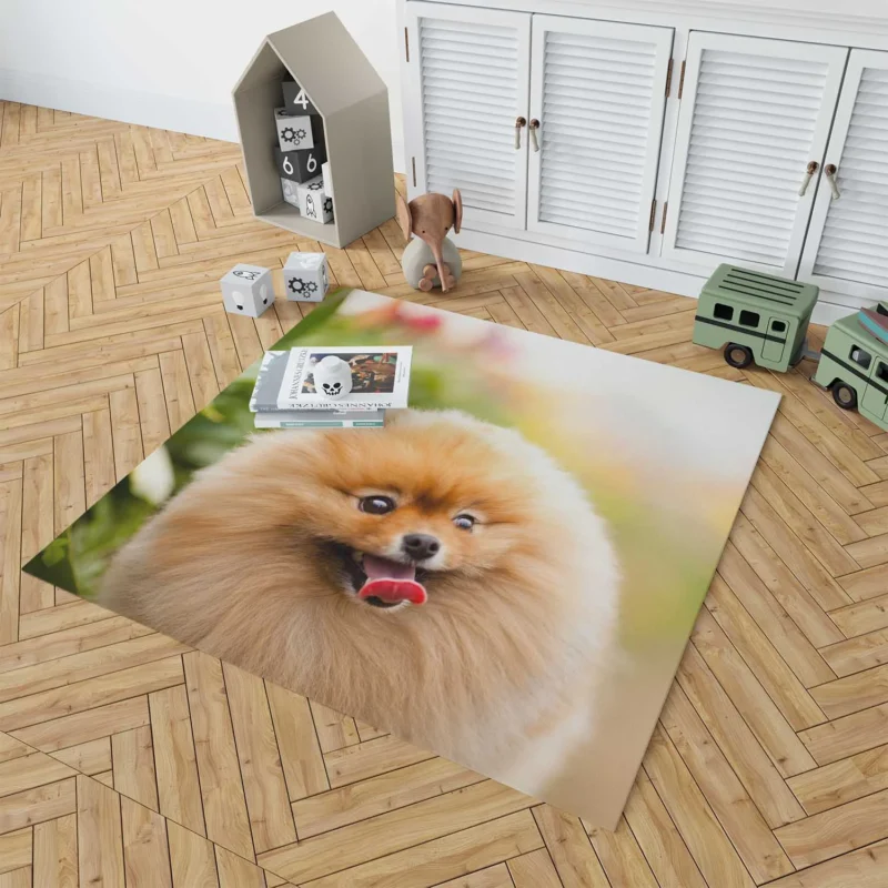 Furry Elegance: Pomeranian Quartet Floor Rug 1