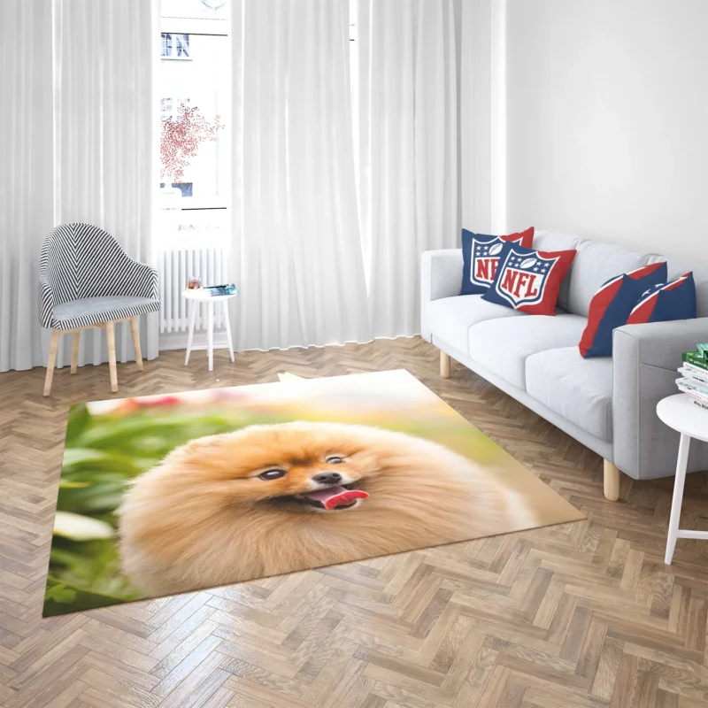 Furry Elegance: Pomeranian Quartet Floor Rug 2