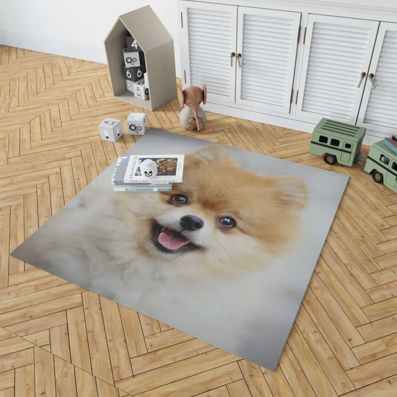 Furry Friendly Elegance: Pomeranian Quartet Floor Rug 1