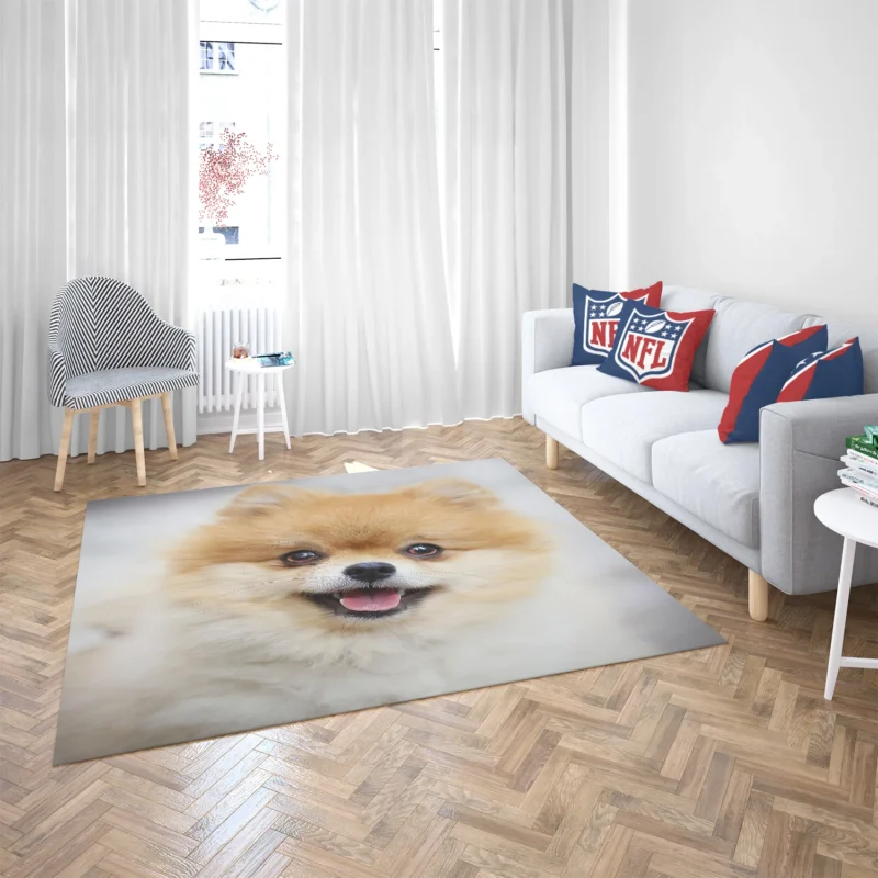 Furry Friendly Elegance: Pomeranian Quartet Floor Rug 2