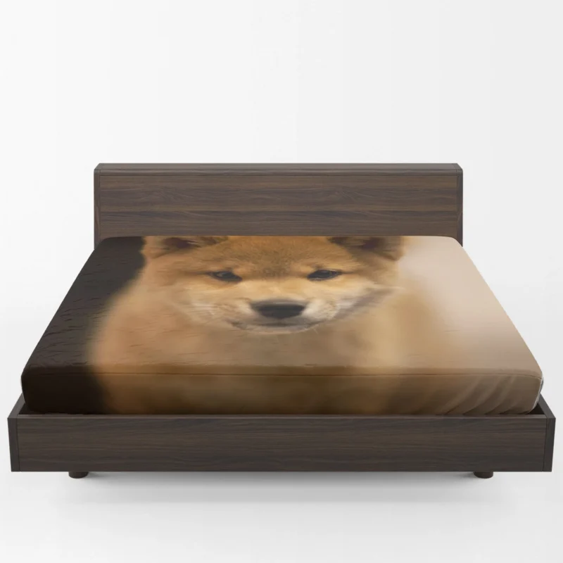 Furry Harmony: Playful Puppies in the Akita Quartet Fitted Sheet 1