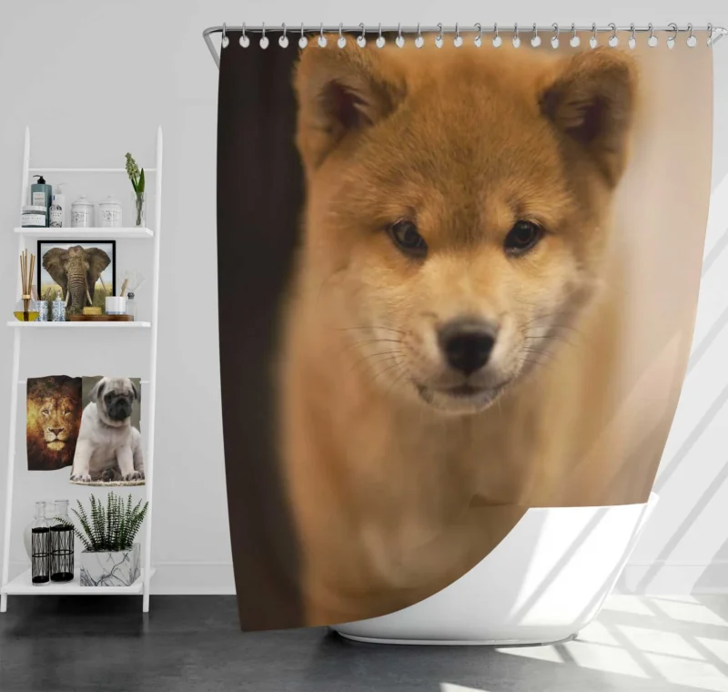 Furry Harmony: Playful Puppies in the Akita Quartet Shower Curtain