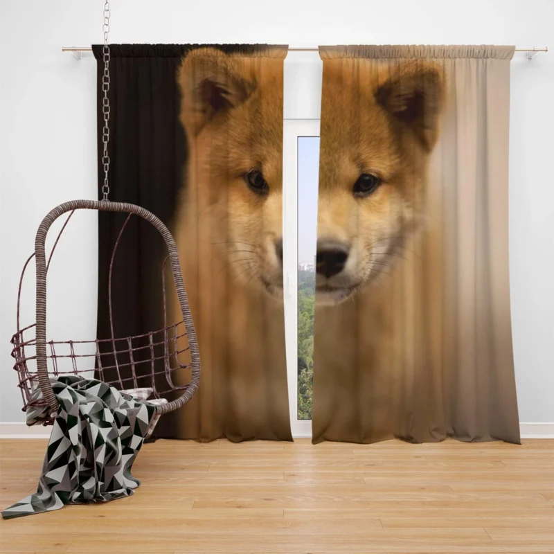 Furry Harmony: Playful Puppies in the Akita Quartet Window Curtain