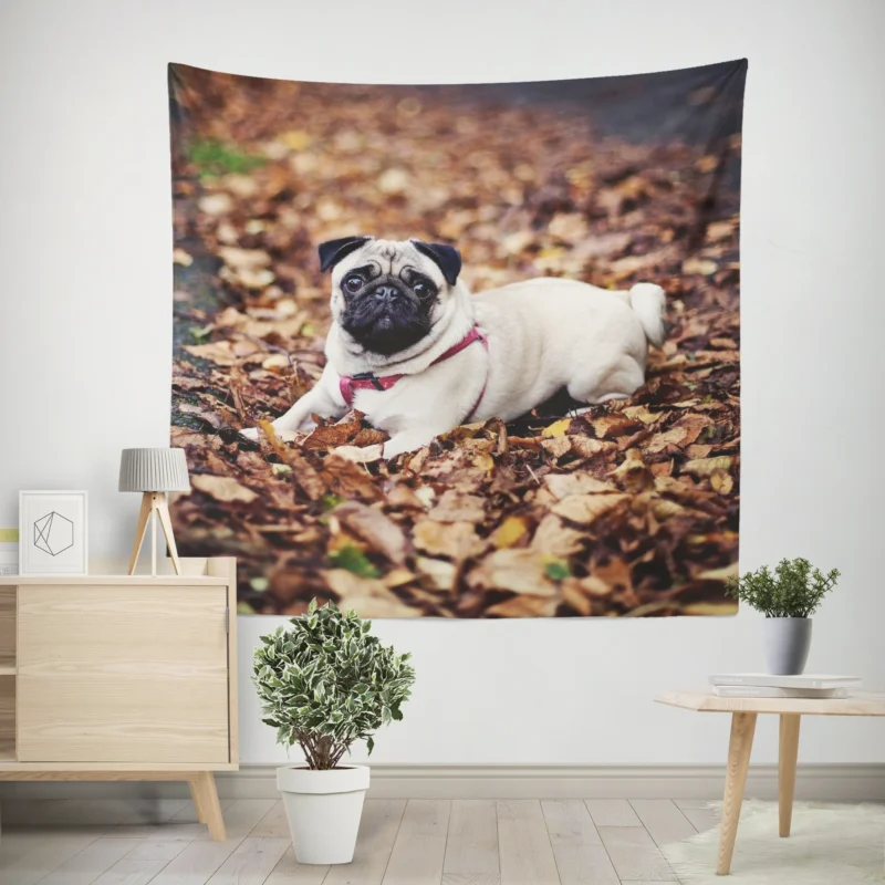 Gentle Pug Elegance  Fourfold Pug Quartet Wall Tapestry