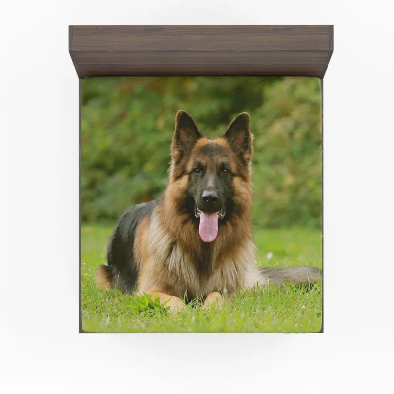 German Shepherd Euphoria: Beauty Meets Nature Fitted Sheet