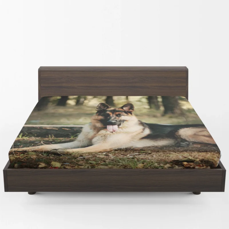 German Shepherd Grandeur: Posing for Greatness Fitted Sheet 1