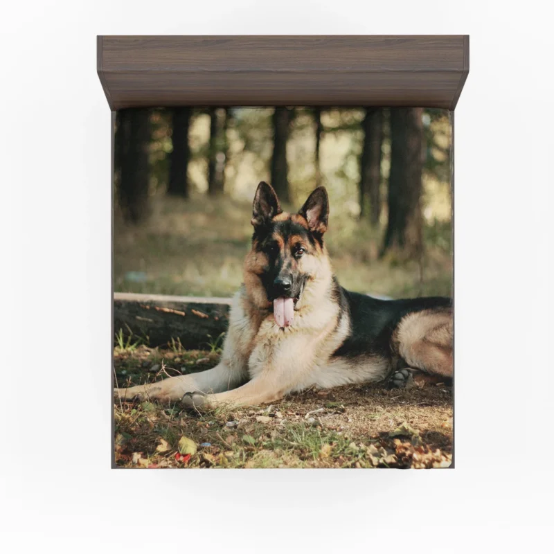 German Shepherd Grandeur: Posing for Greatness Fitted Sheet