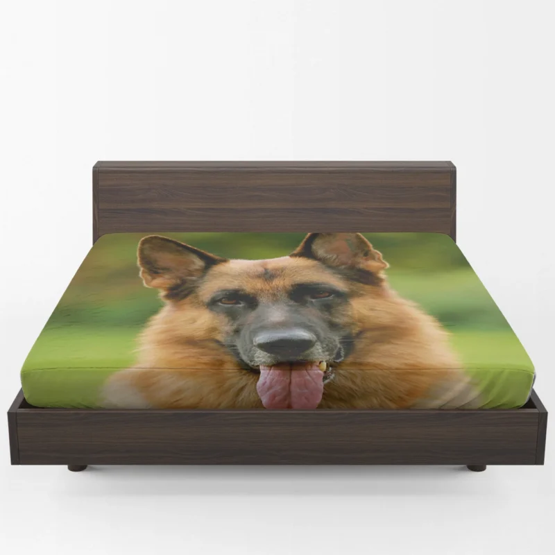 German Shepherd Magic: Captivating All Eyes Fitted Sheet 1