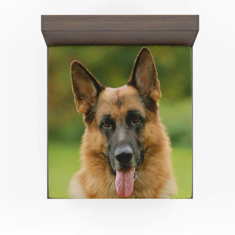 German Shepherd Magic: Captivating All Eyes Fitted Sheet