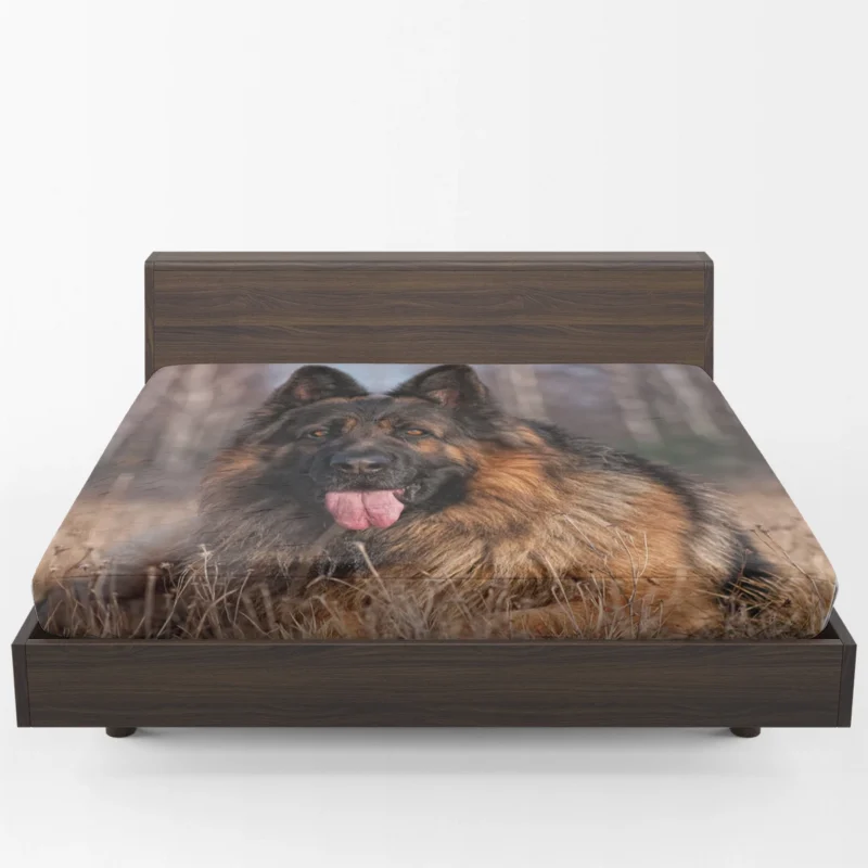 German Shepherd Majesty: Commanding Respect Fitted Sheet 1