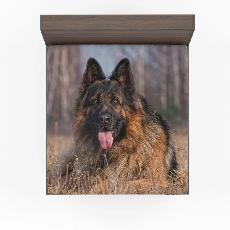 German Shepherd Majesty: Commanding Respect Fitted Sheet