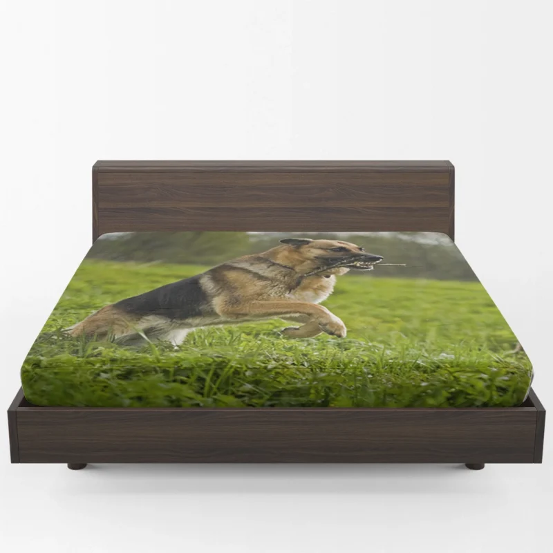 German Shepherd Majesty: The Epitome of Strength Fitted Sheet 1