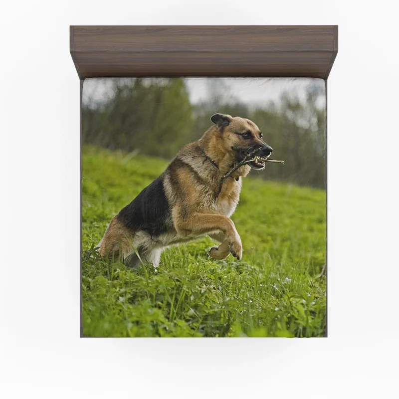 German Shepherd Majesty: The Epitome of Strength Fitted Sheet