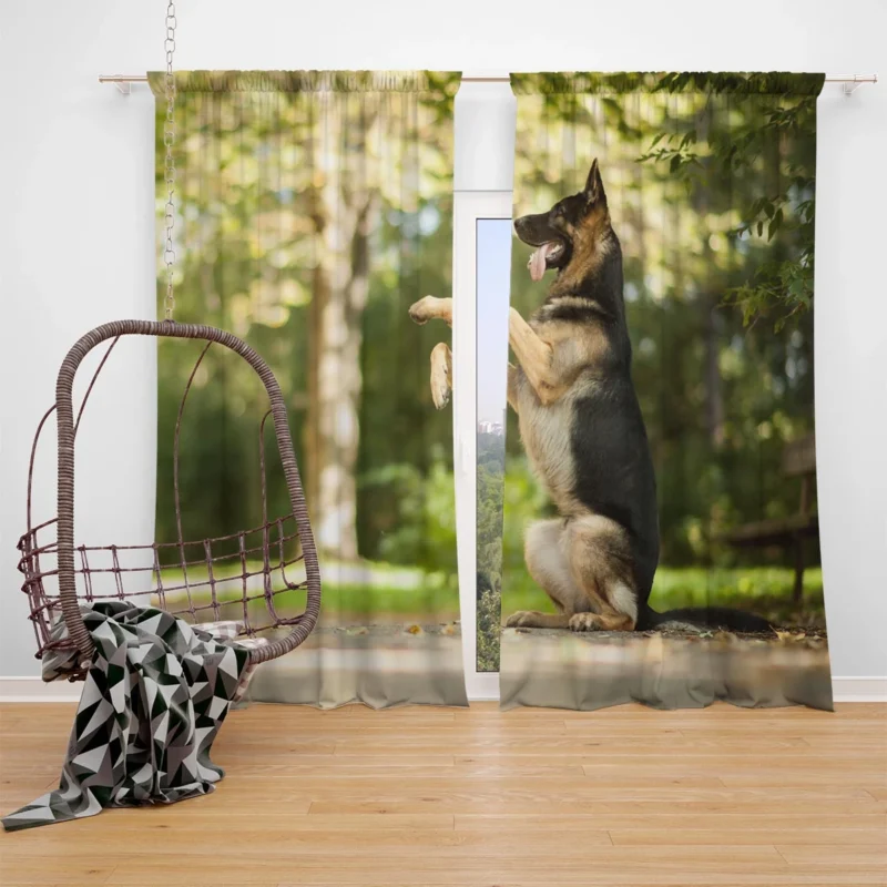 German Shepherd Snowflakes: Whimsical Winter Wonderland Window Curtain