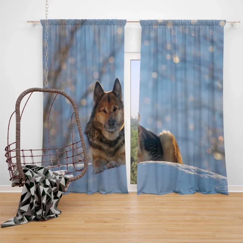 German Shepherd Snowscape: Mystical Winter Beauty Window Curtain