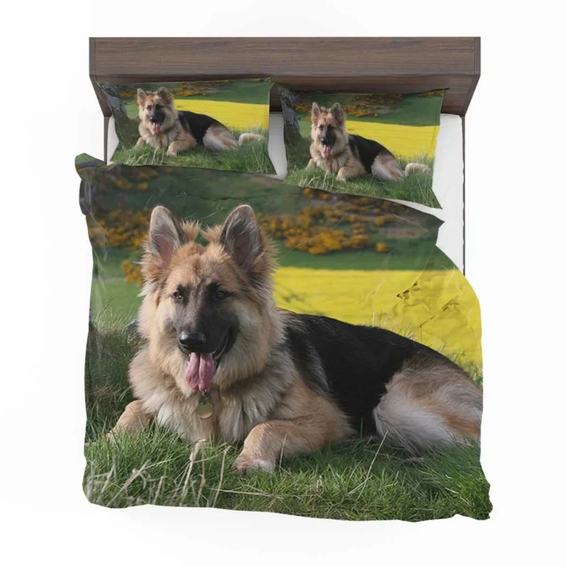 German Shepherd Splendor: Beauty in Every Detail Bedding Set 1