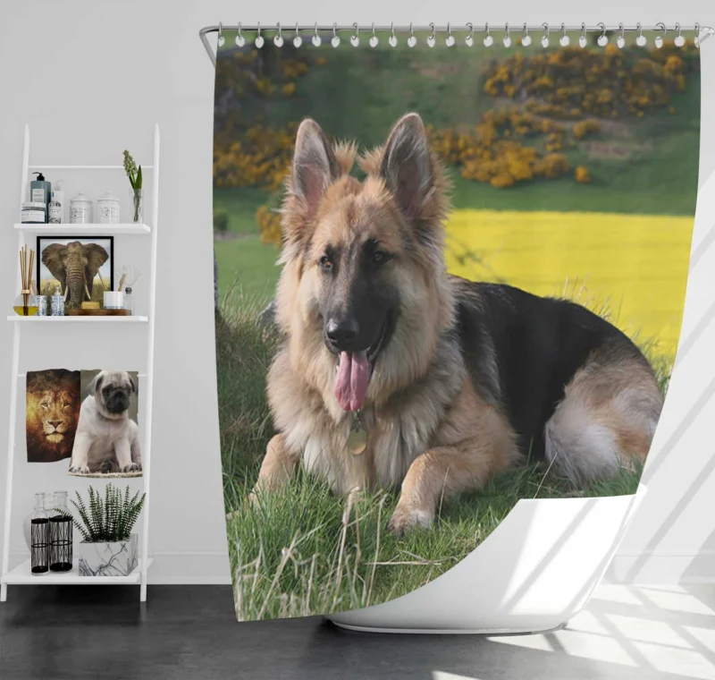 German Shepherd Splendor: Beauty in Every Detail Shower Curtain