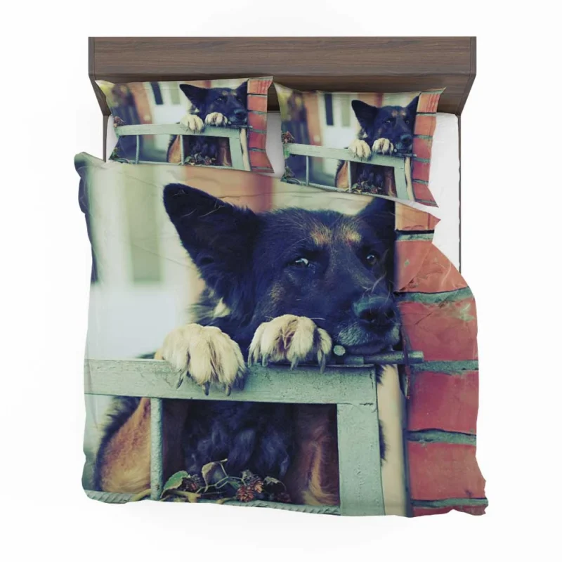 German Shepherd Wallpaper: Backgrounds of Beauty Bedding Set 1