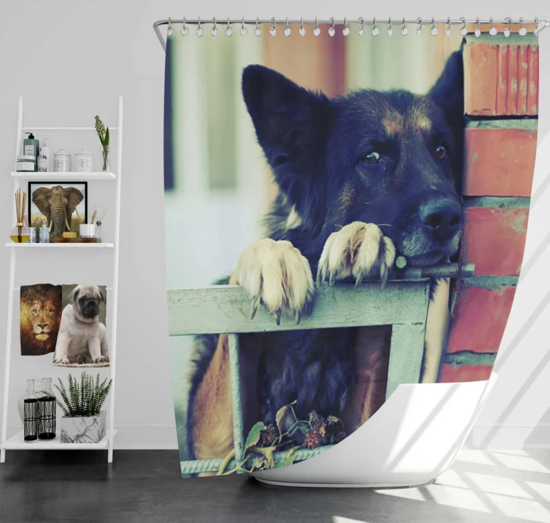 German Shepherd Wallpaper: Backgrounds of Beauty Shower Curtain