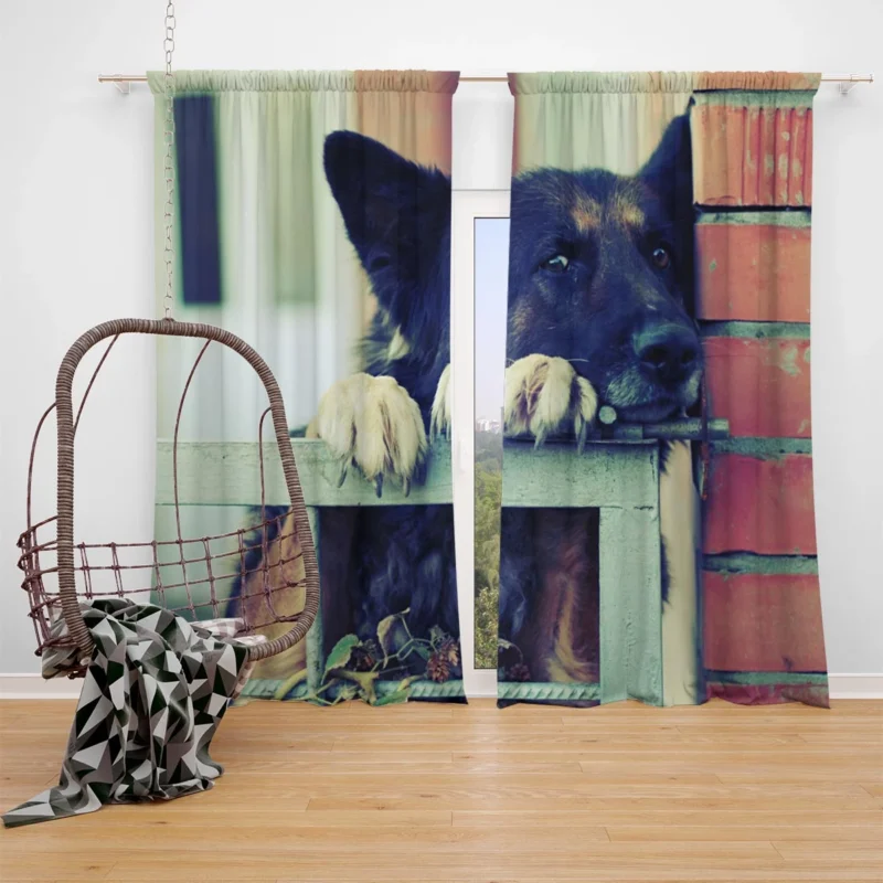 German Shepherd Wallpaper: Backgrounds of Beauty Window Curtain