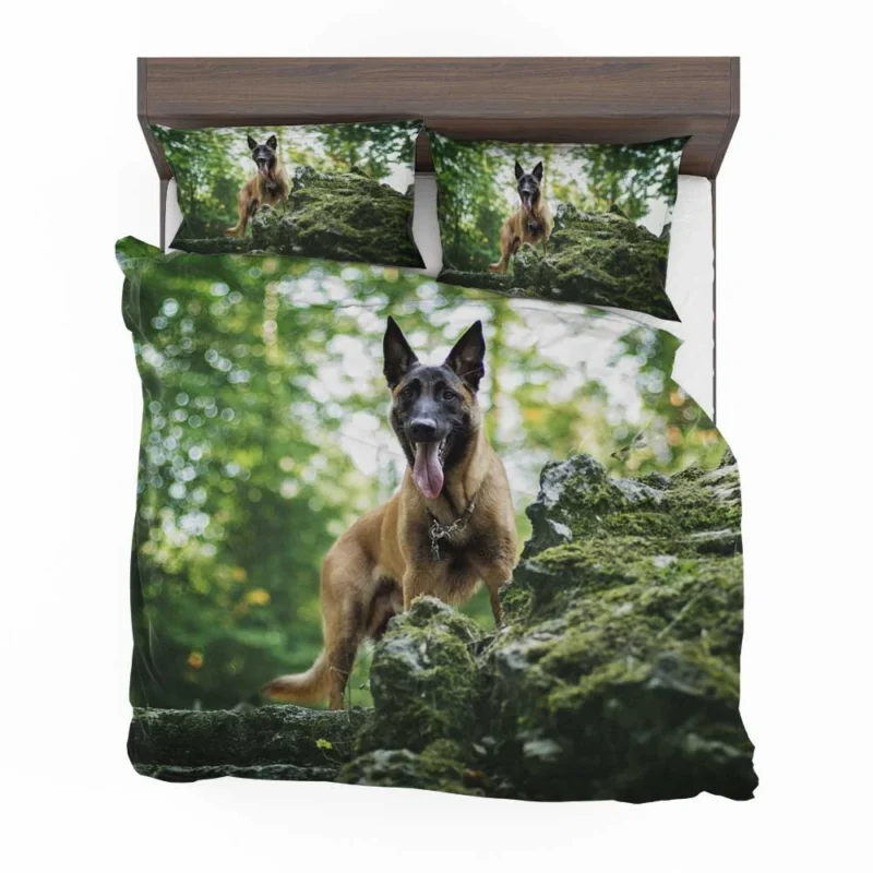 German Shepherd and Malinois in Bokeh: Belgian Shepherd Bedding Set 1