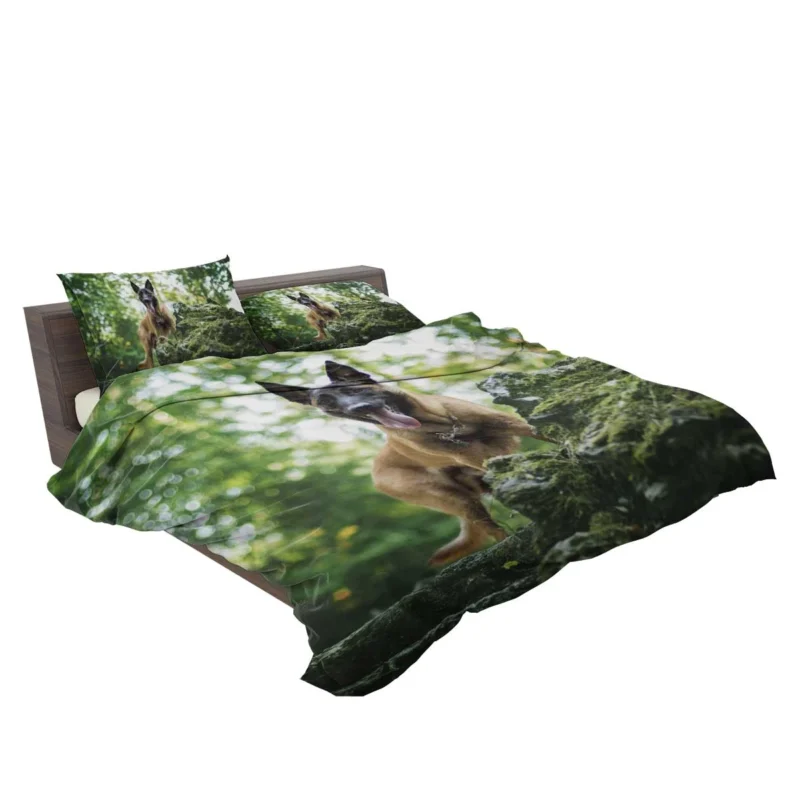 German Shepherd and Malinois in Bokeh: Belgian Shepherd Bedding Set 2