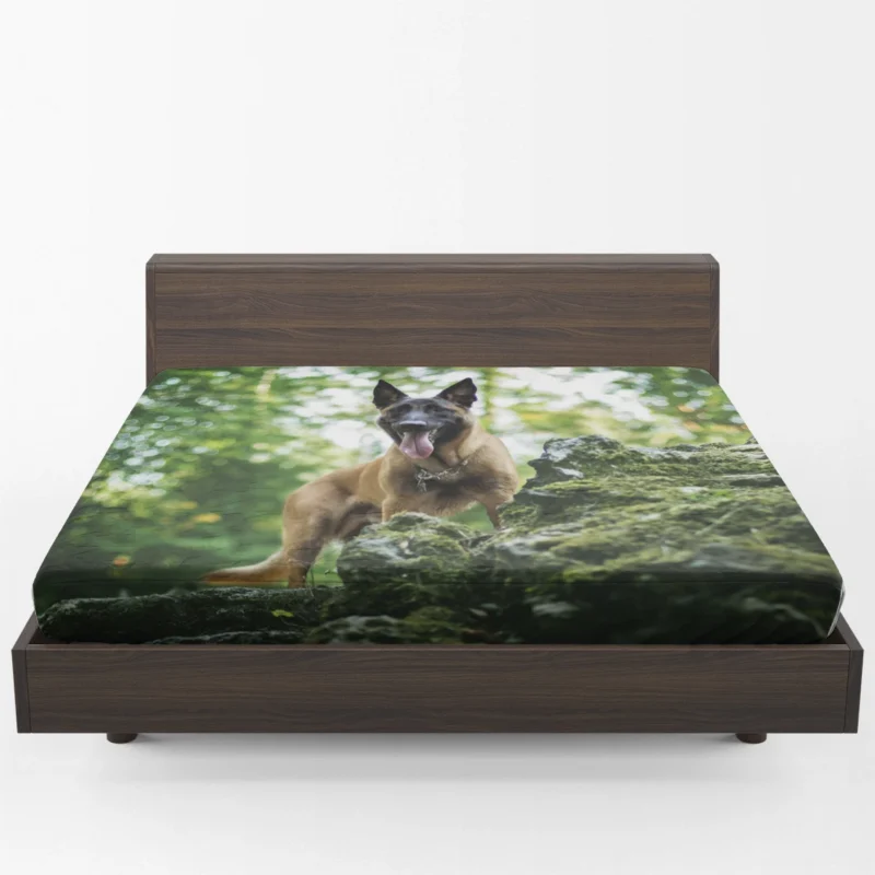 German Shepherd and Malinois in Bokeh: Belgian Shepherd Fitted Sheet 1