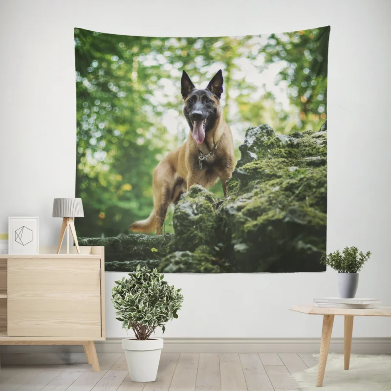 German Shepherd and Malinois in Bokeh  Belgian Shepherd Wall Tapestry