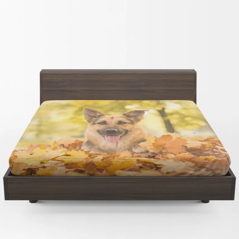 German Shepherd in Fall: Embracing Season Colors Fitted Sheet 1