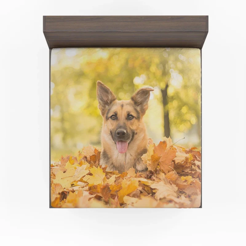 German Shepherd in Fall: Embracing Season Colors Fitted Sheet