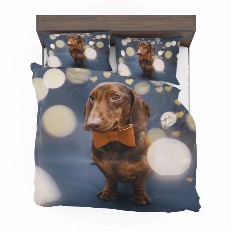 Glistening Bokeh Beauty: Dachshund Quartet Bedding Set 1