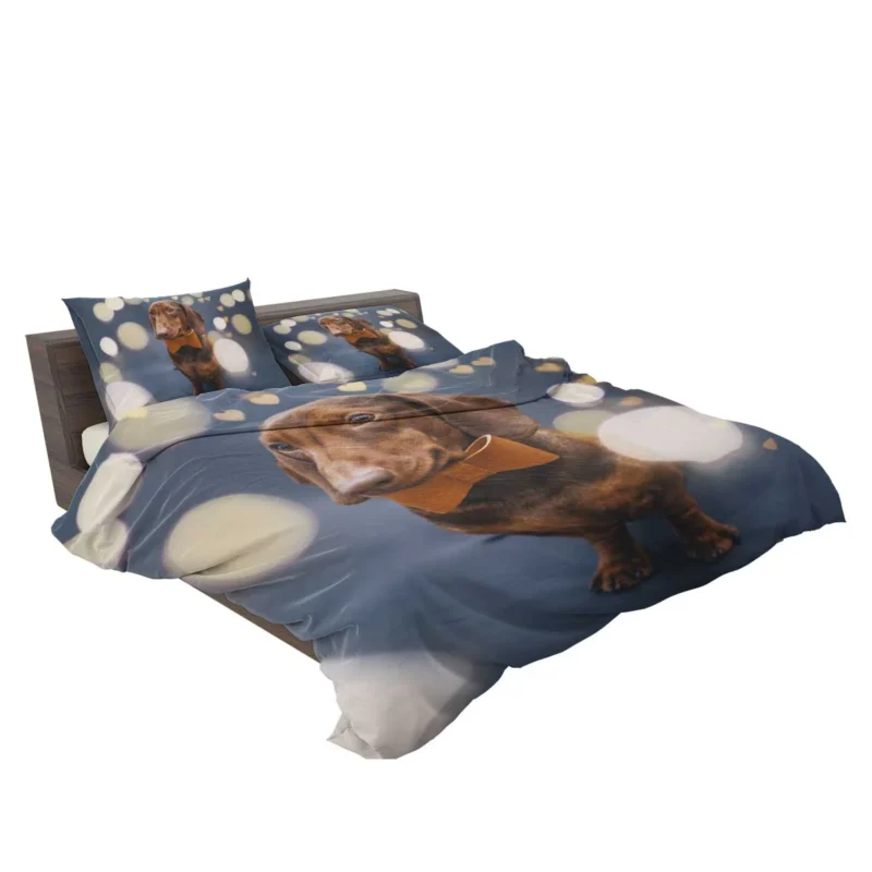 Glistening Bokeh Beauty: Dachshund Quartet Bedding Set 2